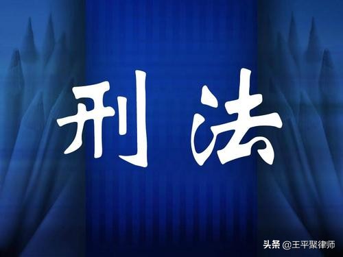 女辅警被判13年罚金500万是否过重？