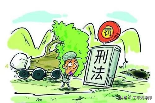 山东一农民砍自己种的杨树被判滥伐林木罪合法吗？