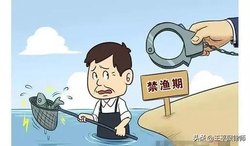 四川农民在自家承包河流里捕鱼犯“非法捕捞罪”，此判决合法吗？  